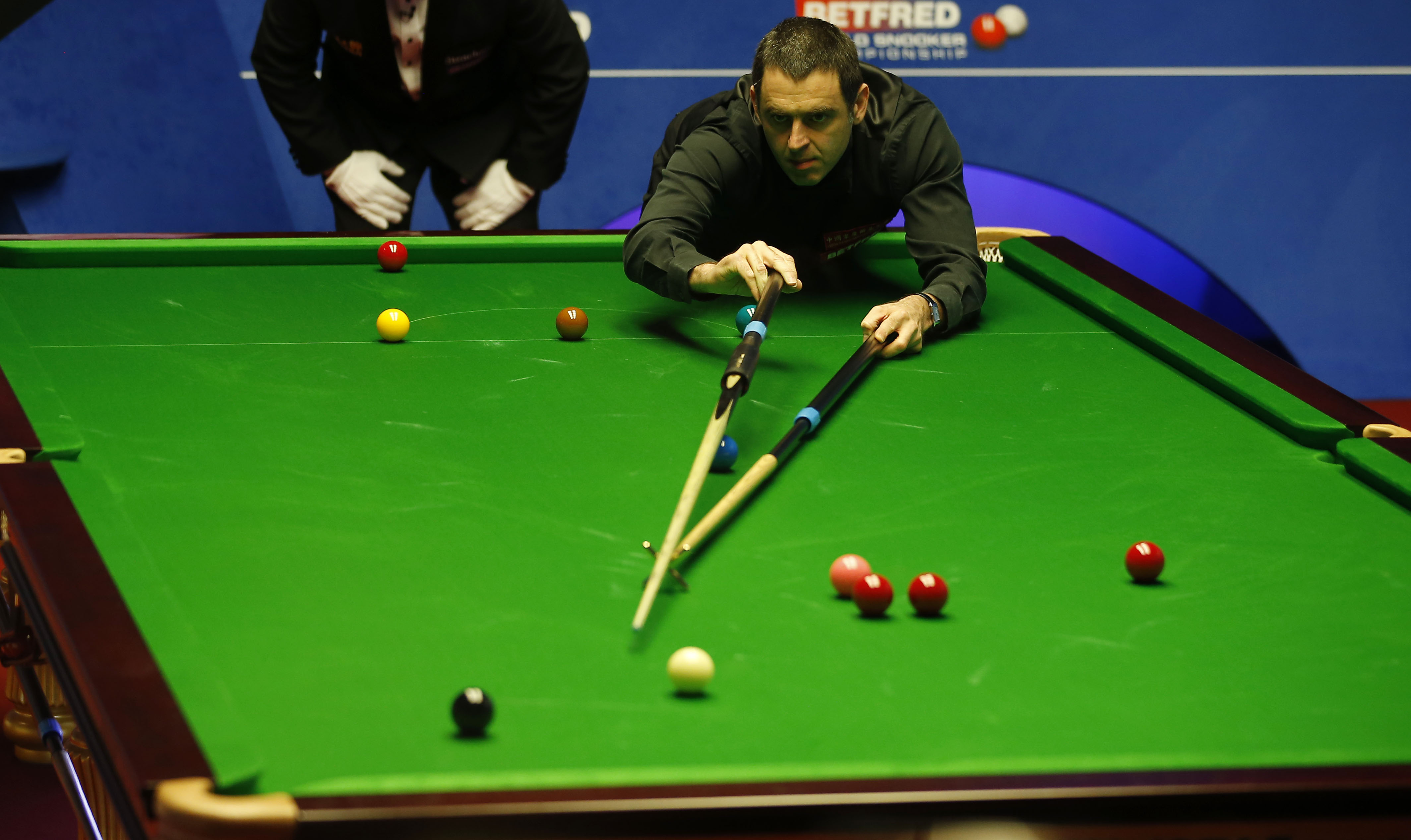 型中锋还能 型中锋还能