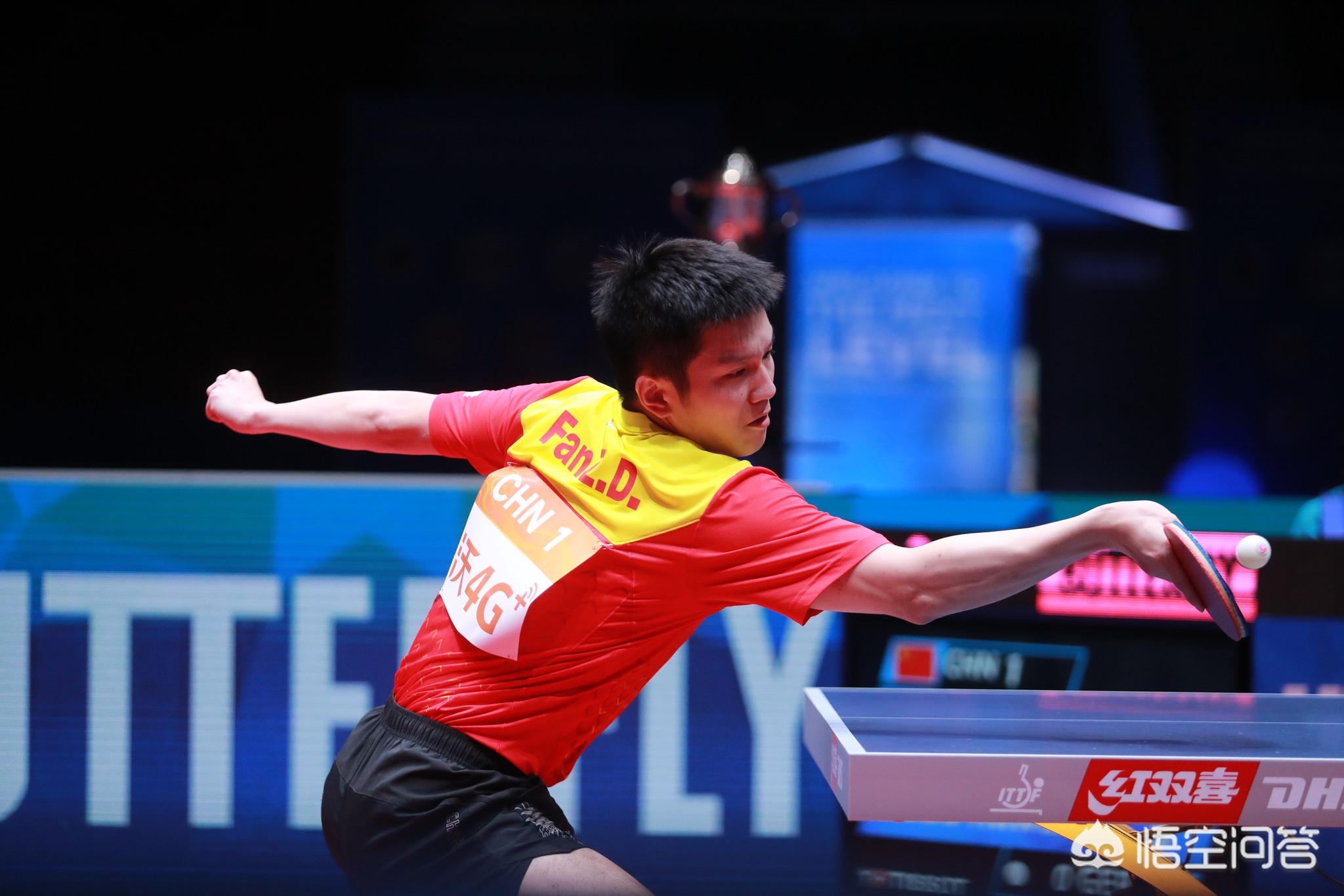 合指导下成 合指导下成